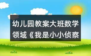 幼兒園教案大班數(shù)學(xué)領(lǐng)域《我是小小偵察兵》反思