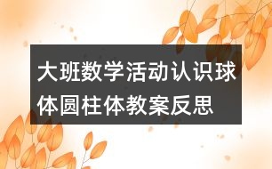 大班數(shù)學(xué)活動(dòng)認(rèn)識(shí)球體圓柱體教案反思