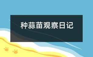 種蒜苗——觀察日記