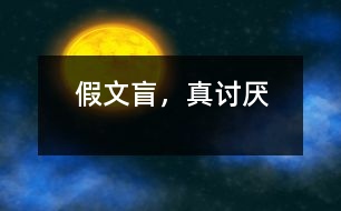 假文盲，真討厭