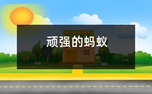 頑強(qiáng)的螞蟻