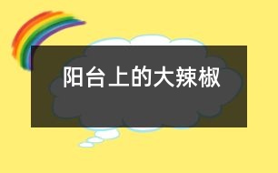 陽臺(tái)上的大辣椒