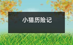 小貓歷險(xiǎn)記