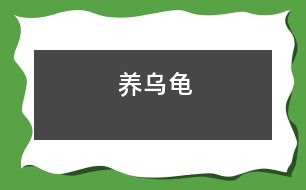 養(yǎng)烏龜