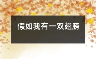 假如我有一雙翅膀