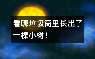 看哪垃圾筒里長出了一棵小樹！