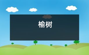 榆樹(shù)