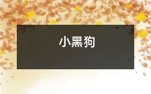 小黑狗