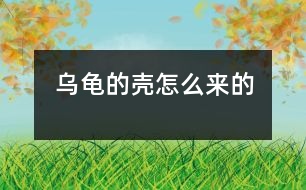 烏龜?shù)臍ぴ趺磥淼?></p>										
													 烏龜?shù)臍ぴ趺磥淼?/p>           江蘇省南京 力學(xué)小學(xué)一（四）班 李盛楠</p>          </p>                  從前，地球上只有一只烏龜，它沒有殼。<br>    有一天，它遇見了一只老虎，老虎想吃掉烏龜，烏龜?shù)纛^就跑，可是已經(jīng)晚了。老虎追上來剛要抓住它，烏龜急忙躲進(jìn)一個殼里，老虎抓住那個殼，咬也咬不動，老虎只能垂頭喪氣地走了?？墒?，烏龜想出來也出不來了，過了很久，烏龜?shù)臍ぷ冃瘟?。后來，它生的孩子也成這模樣了。<br>    從此以后，烏龜有了一個保護(hù)殼。						</div>
						</div>
					</div>
					<div   id=