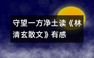 守望一方凈土——讀《林清玄散文》有感