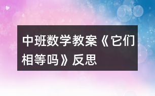 中班數(shù)學教案《它們相等嗎》反思