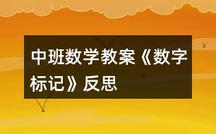 中班數(shù)學(xué)教案《數(shù)字標(biāo)記》反思