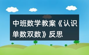 中班數(shù)學(xué)教案《認(rèn)識單數(shù)雙數(shù)》反思