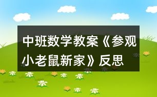 中班數(shù)學(xué)教案《參觀小老鼠新家》反思