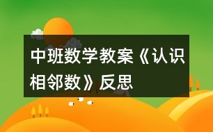 中班數(shù)學(xué)教案《認識相鄰數(shù)》反思