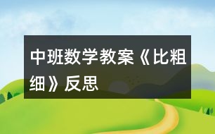 中班數(shù)學(xué)教案《比粗細》反思