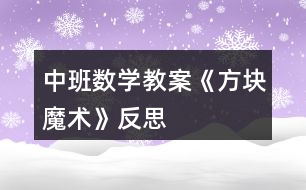 中班數學教案《方塊魔術》反思