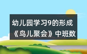 幼兒園學(xué)習(xí)9的形成《鳥兒聚會(huì)》中班數(shù)學(xué)教案反思