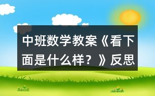 中班數(shù)學(xué)教案《看下面是什么樣？》反思