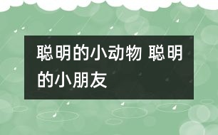 聰明的小動物 聰明的小朋友