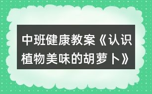 中班健康教案《認識植物美味的胡蘿卜》反思