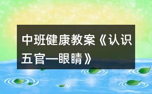 中班健康教案《認(rèn)識(shí)五官―眼睛》