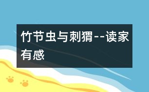 竹節(jié)蟲(chóng)與刺猬--讀家有感