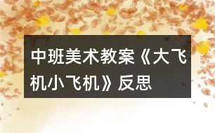 中班美術(shù)教案《大飛機、小飛機》反思