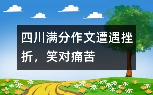 四川滿分作文：遭遇挫折，笑對痛苦