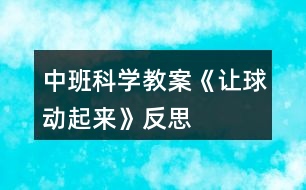 中班科學(xué)教案《讓球動(dòng)起來》反思