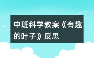 中班科學(xué)教案《有趣的葉子》反思