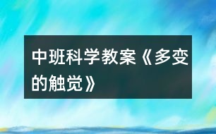 中班科學教案《多變的觸覺》