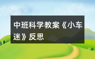 中班科學教案《小車迷》反思