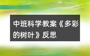 中班科學教案《多彩的樹葉》反思