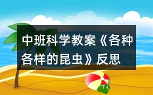 中班科學教案《各種各樣的昆蟲》反思