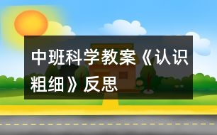 中班科學(xué)教案《認(rèn)識(shí)粗細(xì)》反思