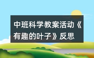 中班科學教案活動《有趣的葉子》反思