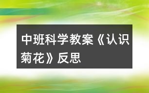 中班科學(xué)教案《認識菊花》反思