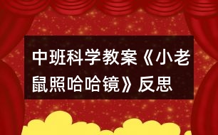 中班科學教案《小老鼠照哈哈鏡》反思