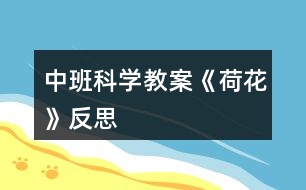 中班科學(xué)教案《荷花》反思