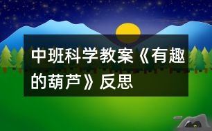 中班科學教案《有趣的葫蘆》反思