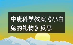 中班科學教案《小白兔的禮物》反思