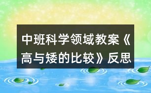 中班科學領(lǐng)域教案《高與矮的比較》反思