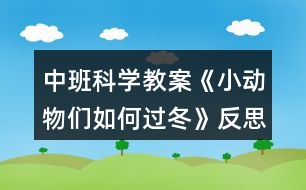 中班科學(xué)教案《小動(dòng)物們?nèi)绾芜^冬》反思