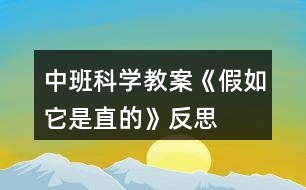 中班科學教案《假如它是直的》反思