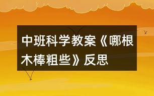 中班科學教案《哪根木棒粗些》反思