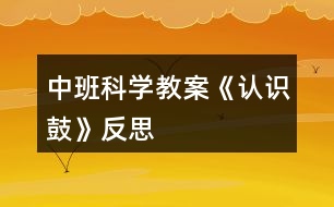 中班科學(xué)教案《認(rèn)識鼓》反思