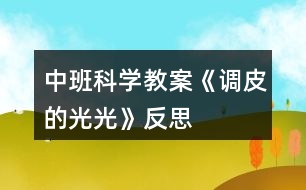 中班科學(xué)教案《調(diào)皮的光光》反思