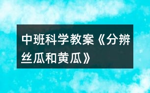 中班科學教案《分辨絲瓜和黃瓜》