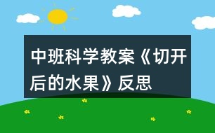 中班科學教案《切開后的水果》反思